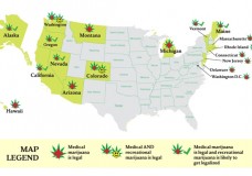 The Next Seven States To Legalize Pot
