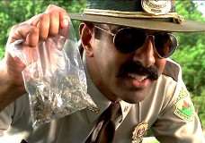 Man Sues Colorado Police for $210,000 for Destroyed Marijuana Crops