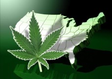 Congress Pushes Bills for Marijuana Legalization