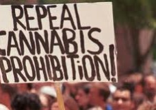How Legalizing Marijuana Could Save the World