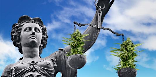 California Supreme Court Weighs in on Medical Marijuana Today