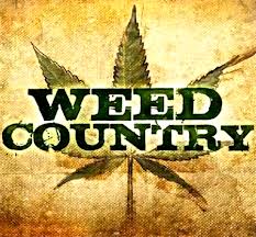 Discovery Channel's 'Weed Country' Airs Wednsday Nights at 7pm [Video]