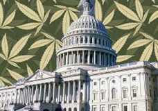 House Bill Would Create National Commission on Federal Marijuana Policy