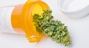 Oregon Begins Allowing Medical Marijuana for PTSD