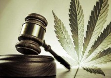 Why are the Feds REALLY Still Prosecuting for Marijuana?