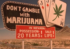 Nevada Officially Regulates Medical Marijuana Collectives