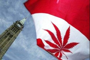 Canada Announces New Regulations for Medical Marijuana