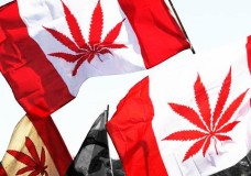 Canada Announces New Regulations for Medical Marijuana
