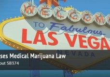 Guidelines for New Medical Marijuana Establishments in Nevada