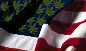 75% of US Adults Says Legalization of Marijuana Is Inevitability