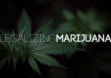 Washington Grants 334 Licenses for Marijuana Dispensaries