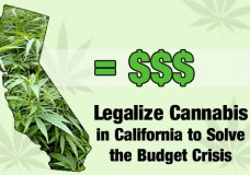 California and the Legalization of Marijuana