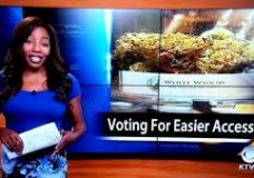 Reporter Quits Live On-Air to Run Cannabis Business