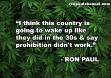 Top 5 Reasons to End Marijuana Prohibition