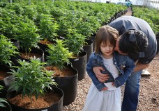 The Hope of Children Fueling the Cannabis Extract Movement