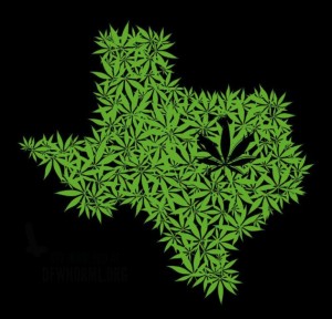POLL: Should Texas Legalize Marijuana?