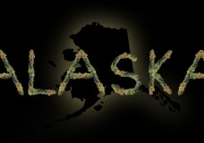 Recreational Cannabis Is Officially Legal In Alaska