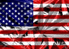 Legalization of Marijuana Most-Thriving Industry in U.S.