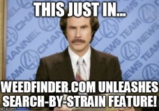 WeedFinder™ Unleashes First-Ever Search-by-Strain Feature
