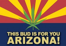 Arizona Supreme Courts Rule Allowing Cannabis Use While On Probation