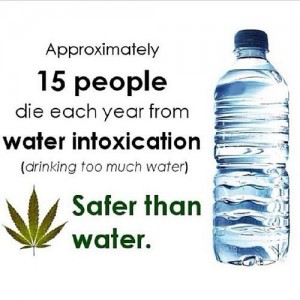 Its Easier to Die from Drinking Water than to Overdose on Marijuana - Weed Finder™ News