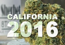 California: Demand for Recreational Cannabis Reaches All-Time High