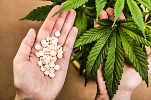 New Study Shows Marijuana Dispensaries Save Lives - Weed Finder ™ News