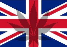 UK Police Now Allowing Citizens to Grow Marijuana