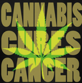 National Cancer Institute Confirms Cannabis Kills Cancer - Weed Finder™ News