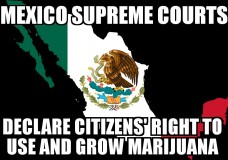 MEXICO: Supreme Court Ruling Sets Stage for Recreational Marijuana