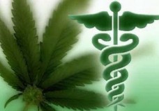 Doctor Says Cannabis Safer than Every Prescription Drug