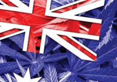 Australia Legalizes Medical Marijuana