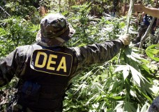 Is the DEA Preparing to Reclassify Cannabis this Summer?