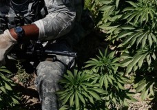 House Approves Amendment Allowing VA Doctors to Recommend Cannabis to Veterans