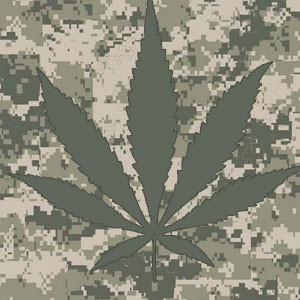 House Approves Amendment Allowing VA Doctors to Recommend Cannabis to Veterans - Weed Finder™