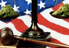 Federal Judge Tells Justice Dept they Cannot Prosecute Medical Marijuana Patients…Again