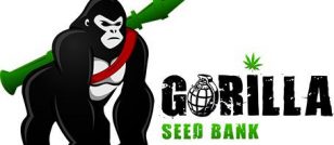 Gorilla Seeds