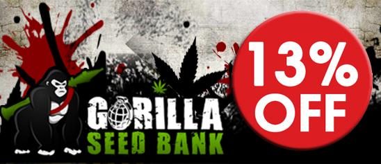 13% Off Premium Cannabis Seeds!