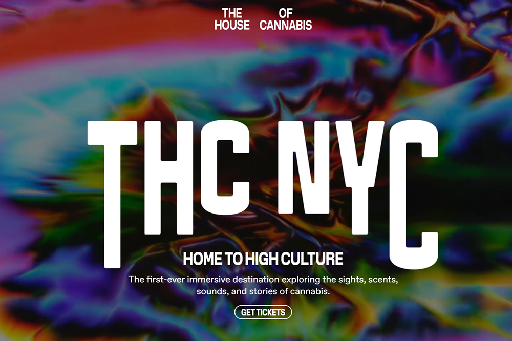 The House of Cannabis: NYC